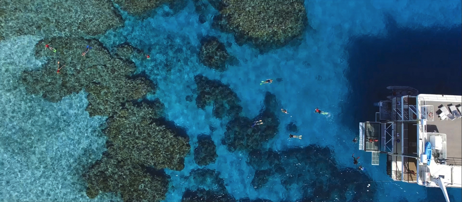 Snorkeling sulla Grande barriera corallina, veduta aerea