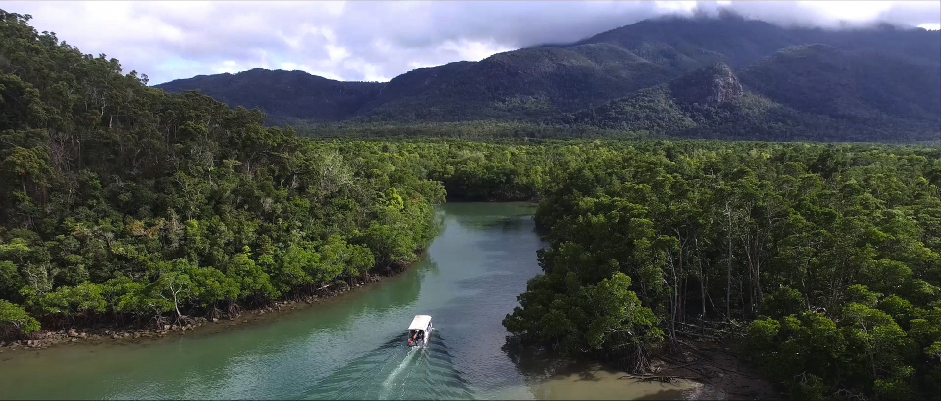 Rainforest tour with Coral Expeditions, Queensland