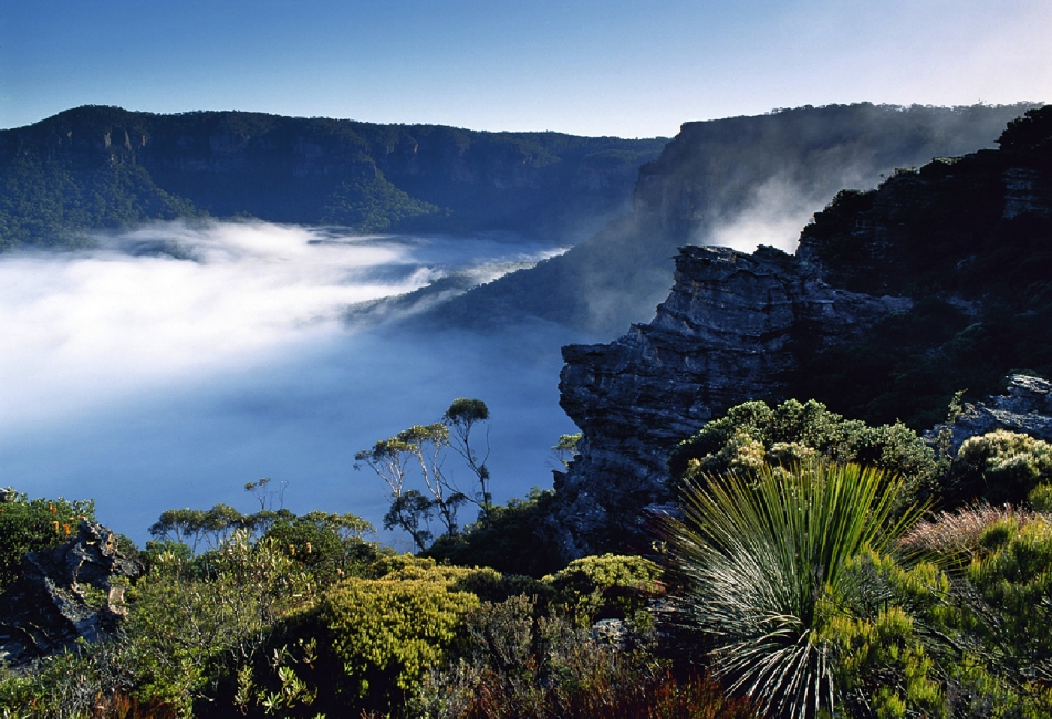 Valle nella nebbia, Blue Mountains