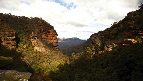 Gola boscosa nelle Blue Mountains