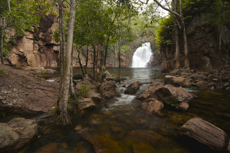 Florence Falls from below, Litchfield National Park