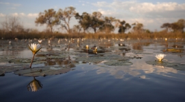 Selinda Adventure Trail – Maun