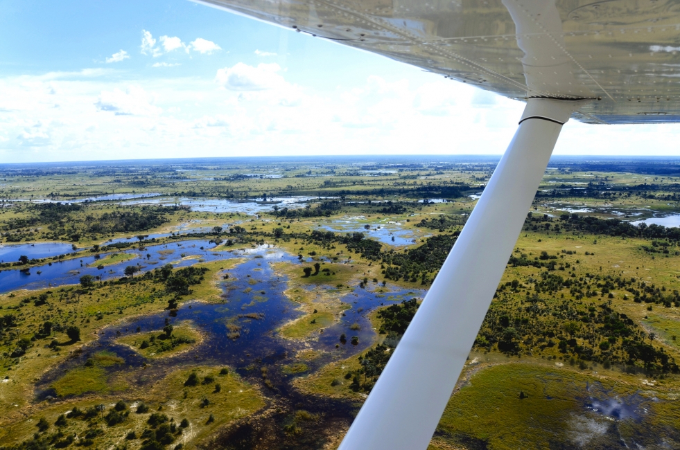 The Okavango Delta from the plane