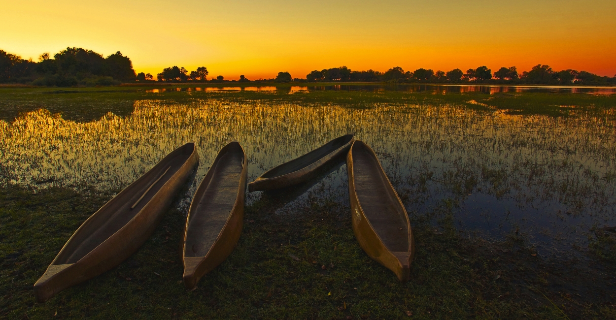 Mokoros at dusk in the Okavango Delta