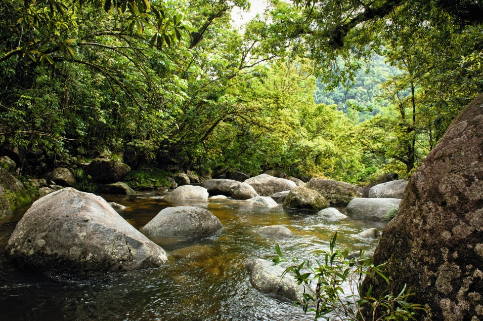 Creek in Queensland