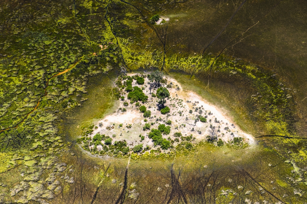 Heart-shaped island in the Okavango Delta