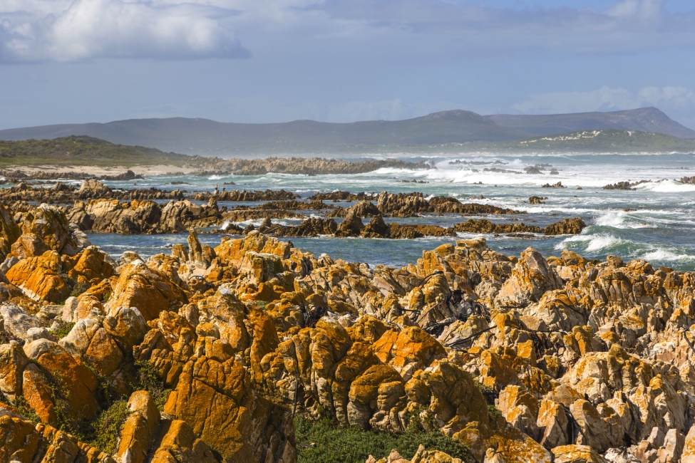 Cape Agulhas on the Whale Coast