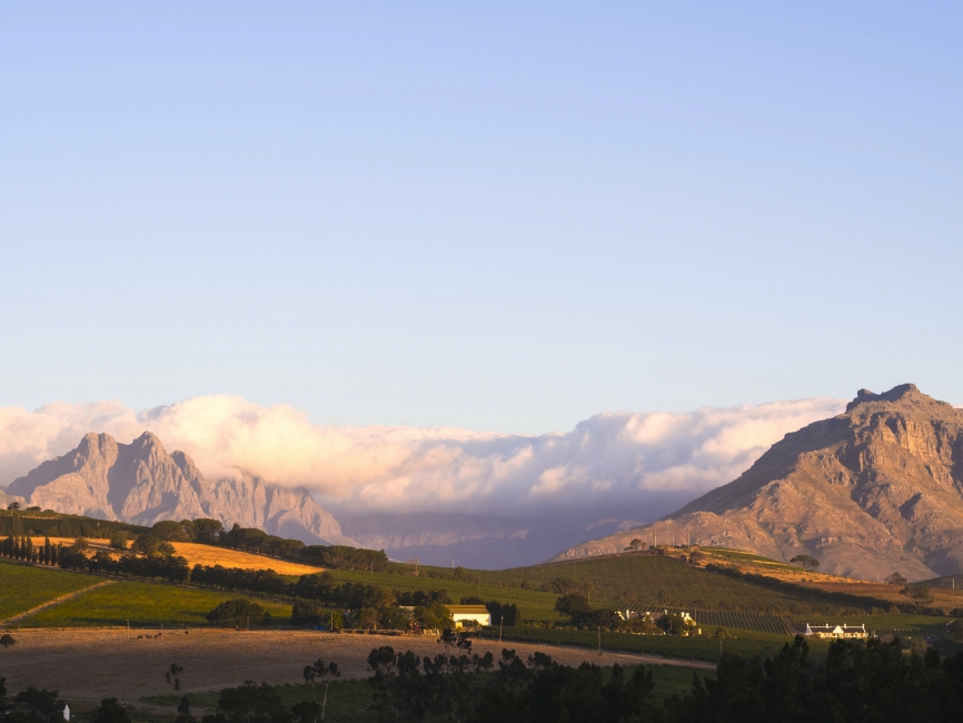 Landscape near Stellenbosch in the Winelands