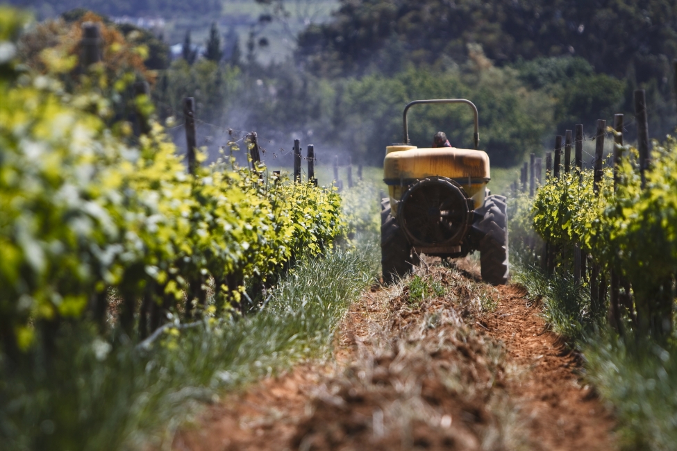 Tractor in the Winelands