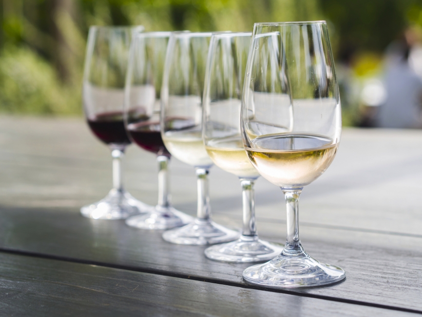 Wine tasting in the Winelands