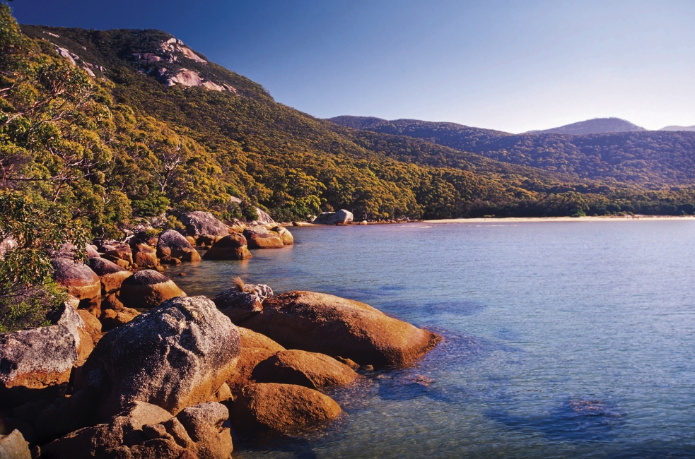 Coast at Wilsons Promontory