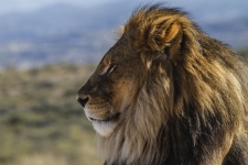 Wonders of South Africa – Città del Capo