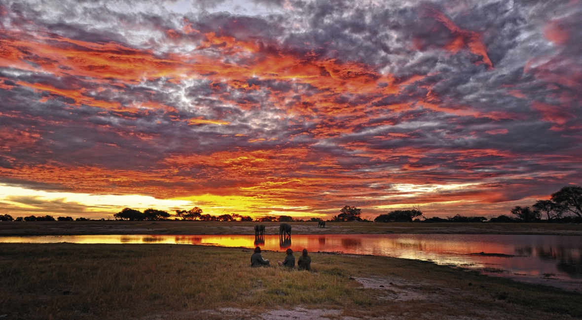 Ospiti alla pozza d'acqua con elefanti, African Bush Camps