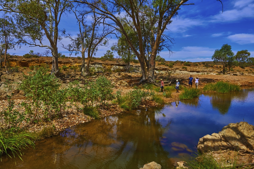 Pozza d'acqua di Kanyaka nei Flinders Ranges