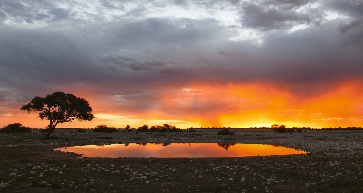 Sonnenaufgang am Wasserloch von Okaukuejo, Etosha-Nationalpark