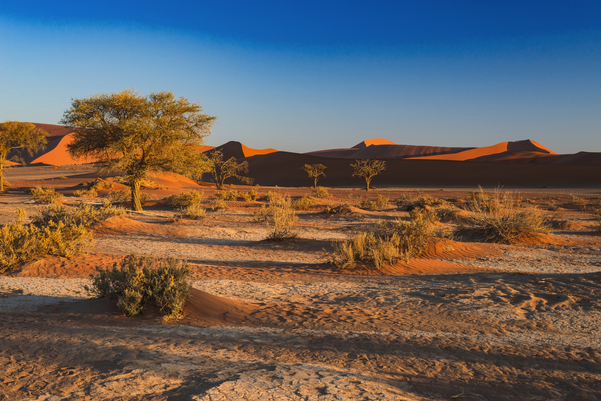 Namibia Classic 13 Tage – Windhoek Stadt