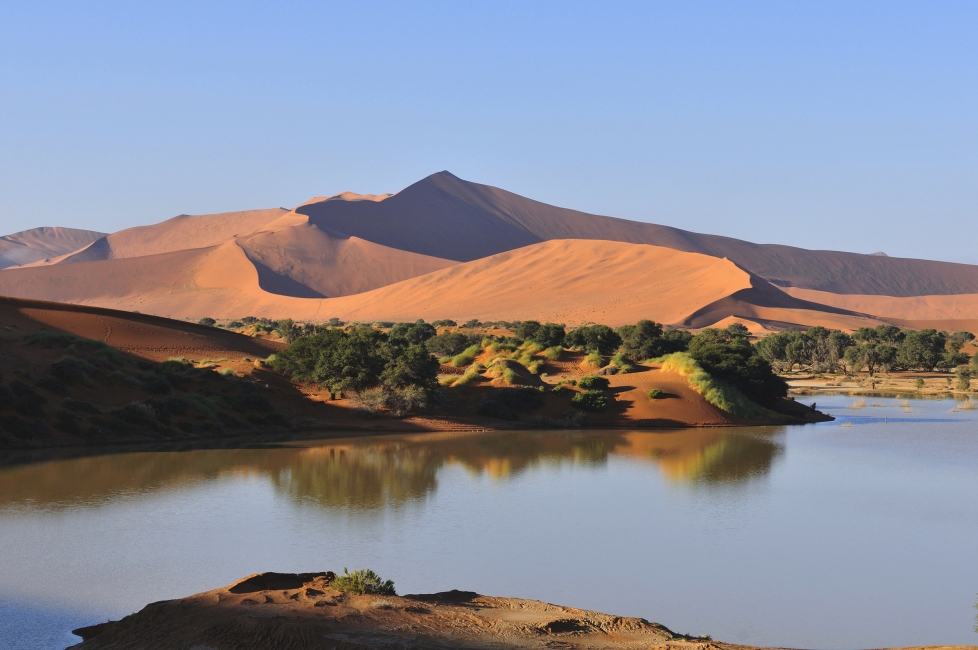 Dünen am Wasser bei Sossusvlei