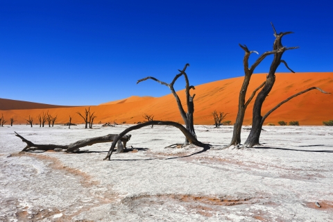 Dead Vlei vicino a Sossusvlei