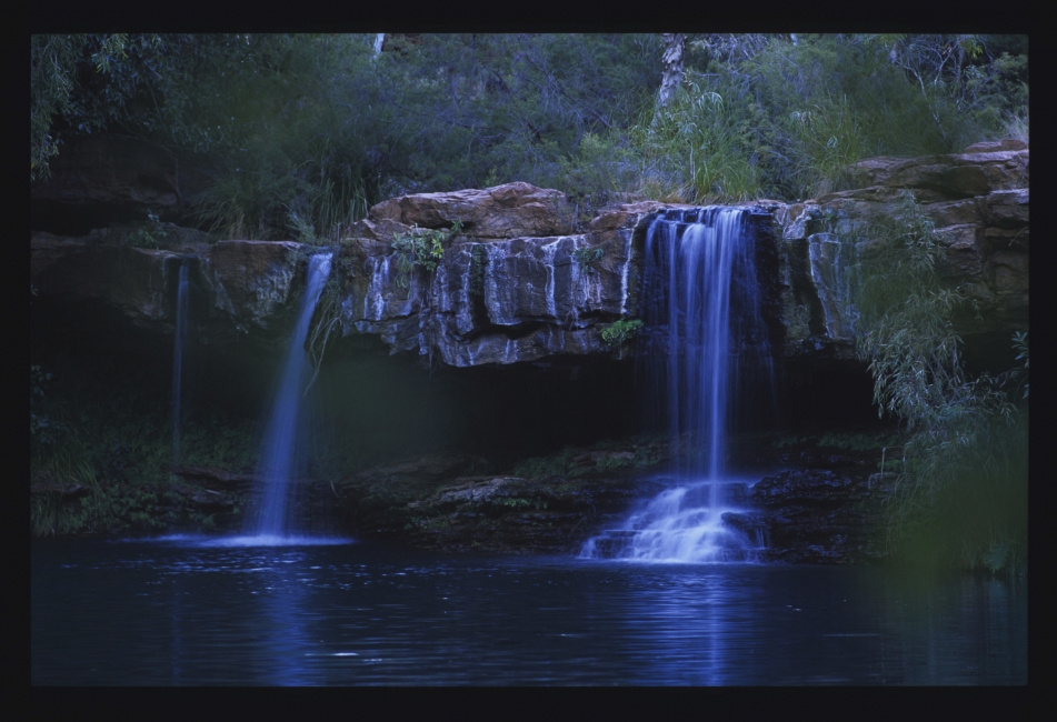 Fern Pool nella Dales Gorge, Parco nazionale di Karijini