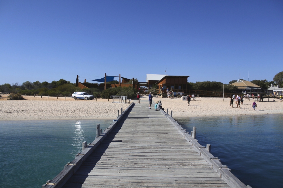 Pontile di Monkey Mia, Shark Bay