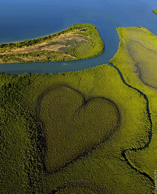Un cuore nel paesaggio visto dall'alto