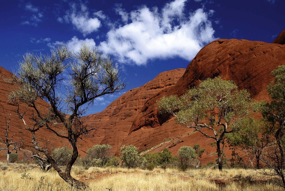 Uluru (Ayers Rock) aus der Nähe