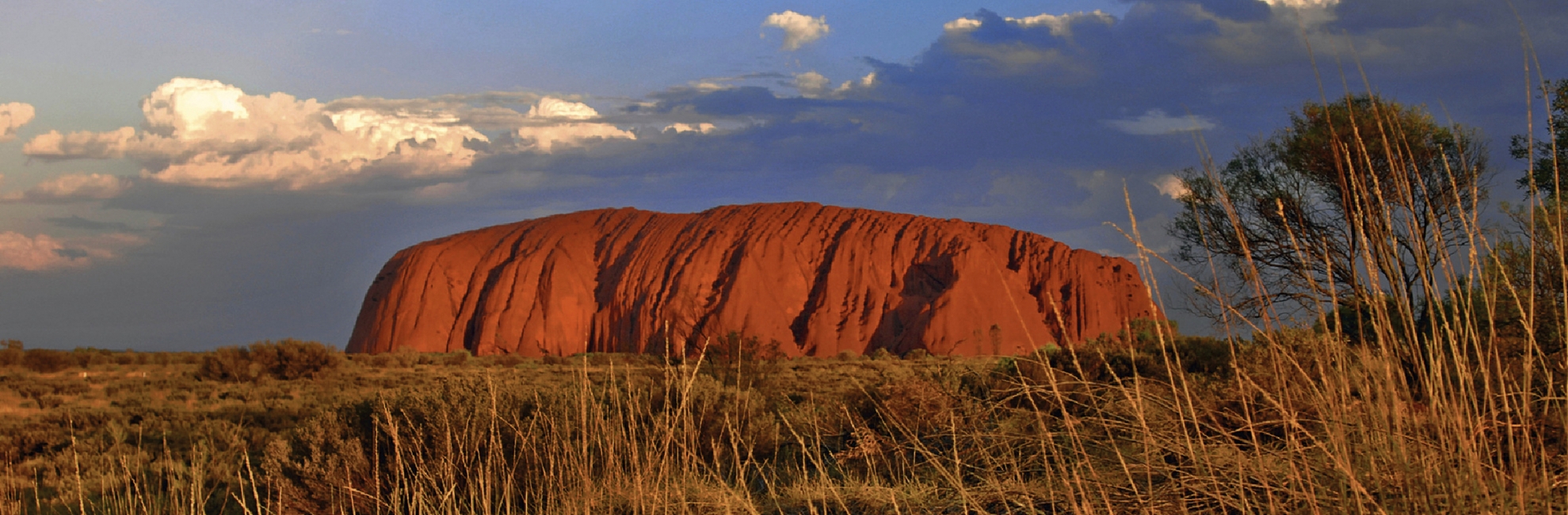 Orange leuchtender Uluru (Ayers Rock)