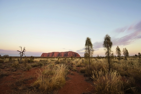 Red Centre Wanderer – Alice Springs