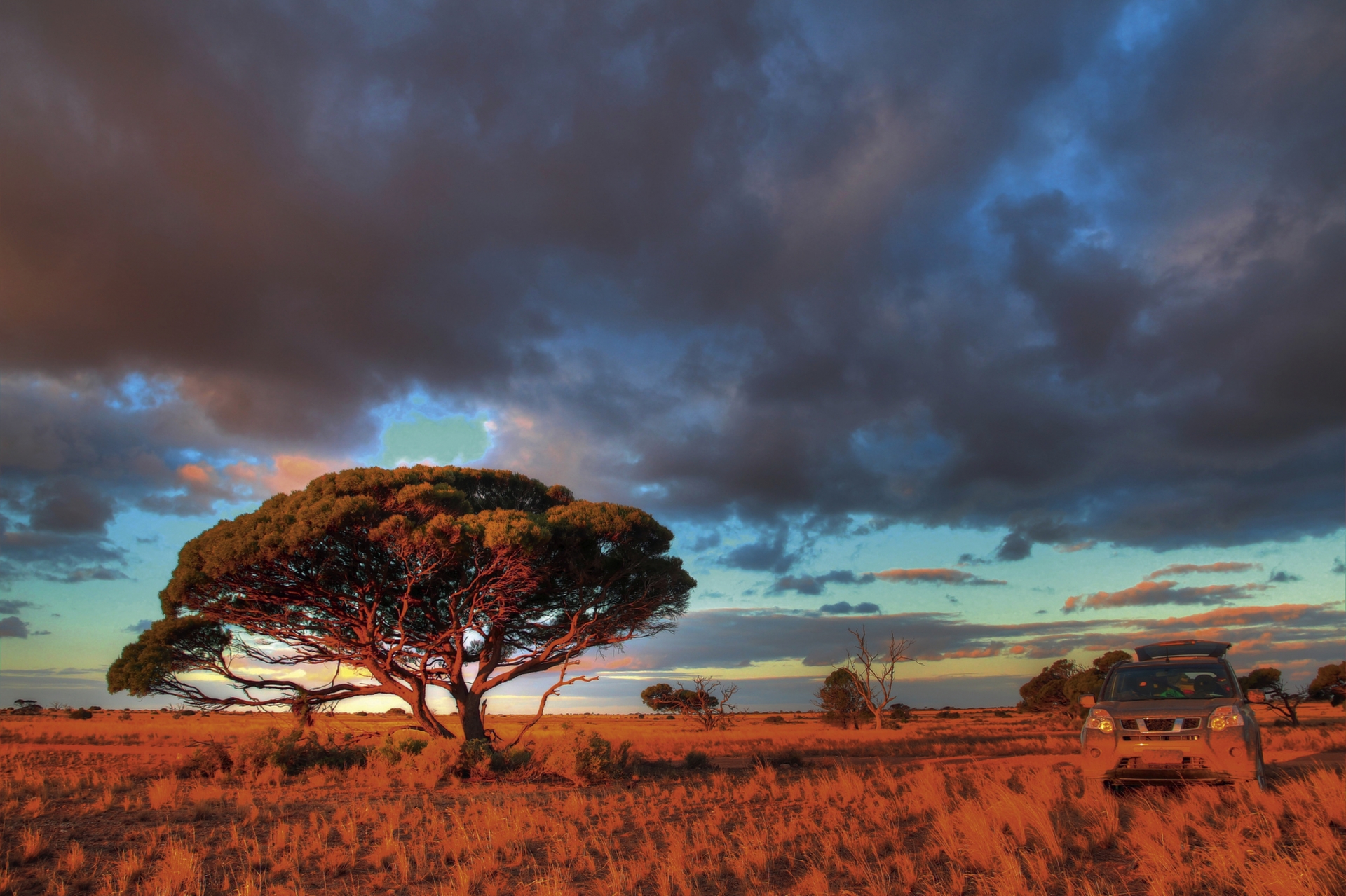 Pianura di Nullarbor