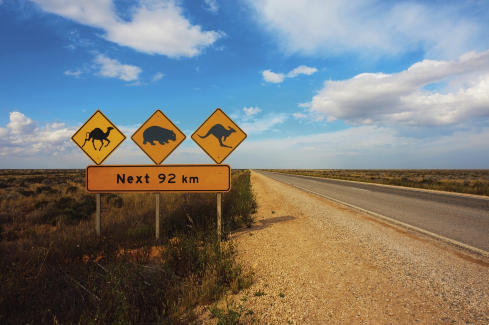 Cartello nella pianura di Nullarbor