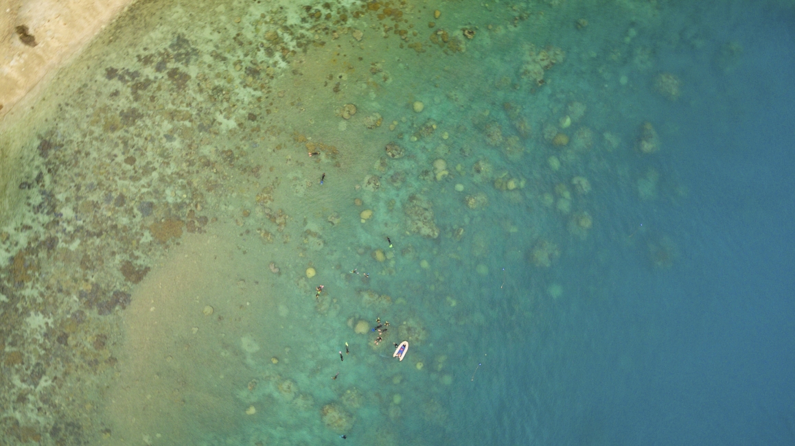 Korallenriff in den Whitsundays aus der Vogelperspektive