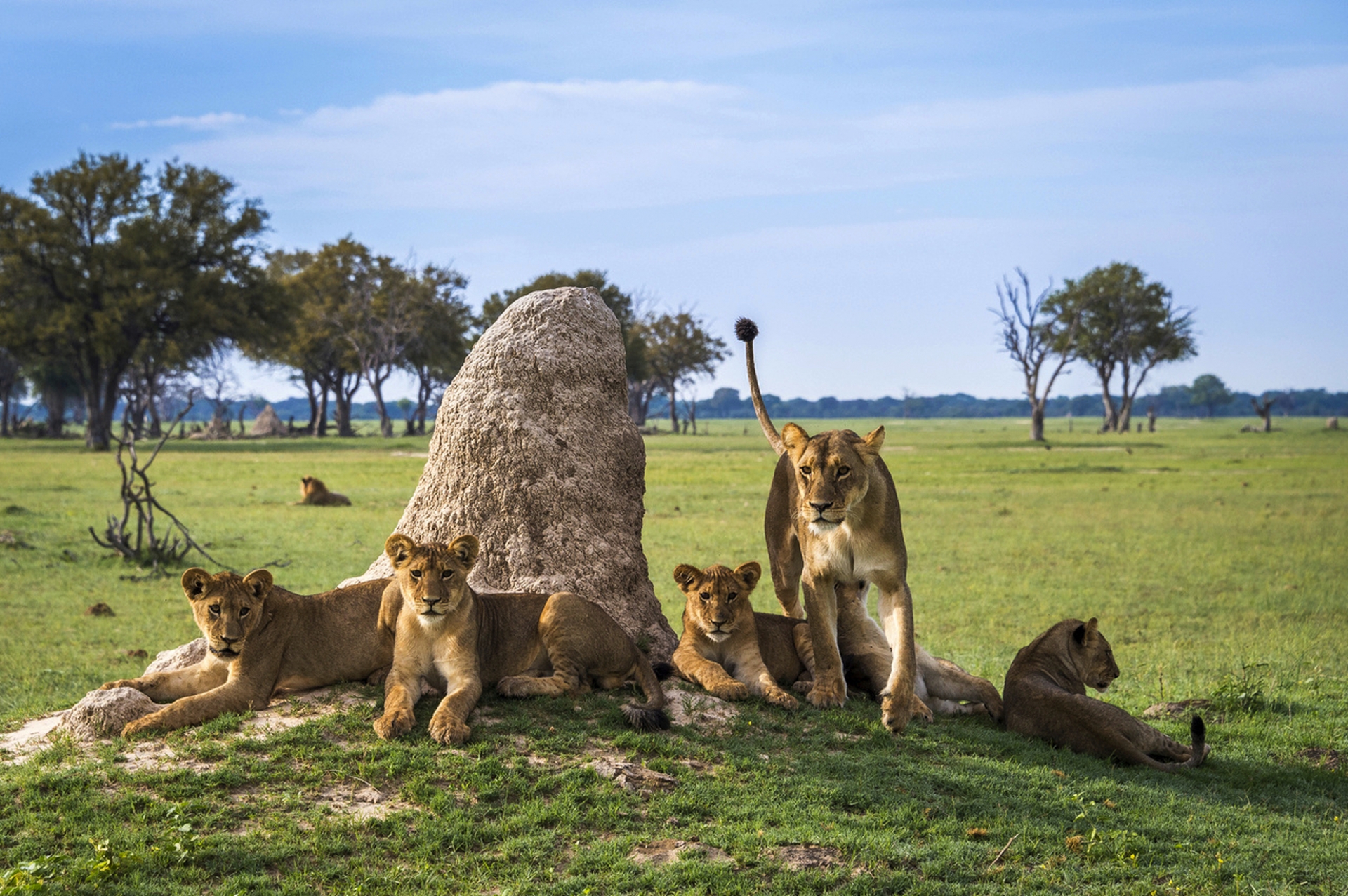 Hwange National Park, Zimbabwe