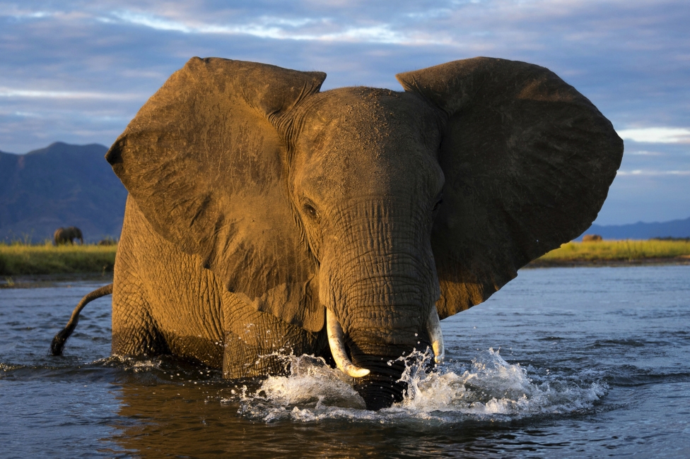 Ruckomechi Camp, Mana Pools National Park