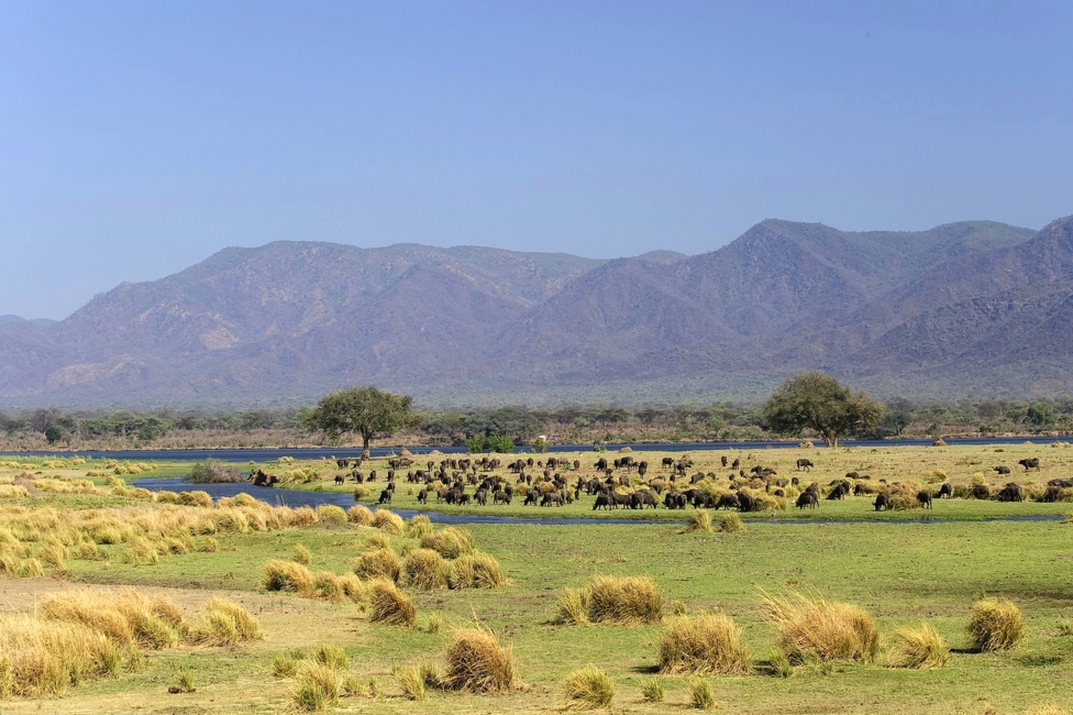 Ruckomechi Camp, Mana Pools National Park