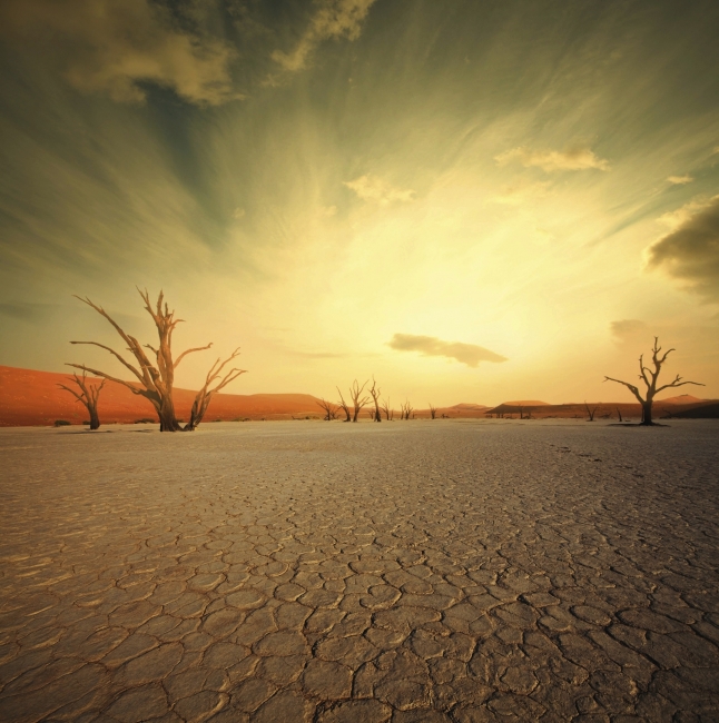 Dead Vlei near Sossusvlei