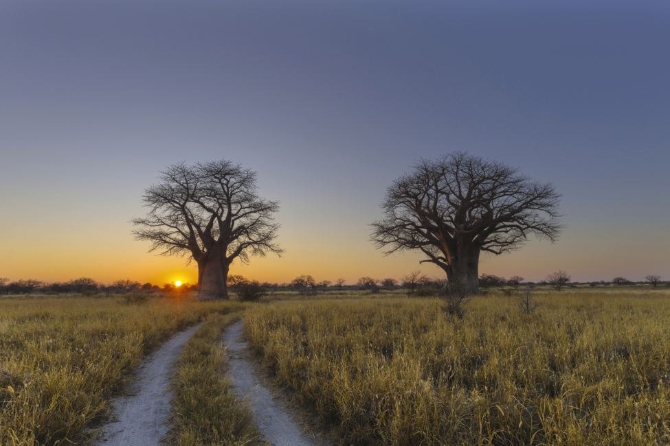 Sunrise over the Makgadikgadi and Nxai Pans