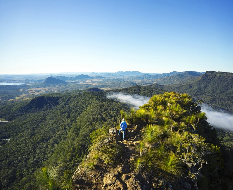 Mountain panorama on the Scenic Rim Trail