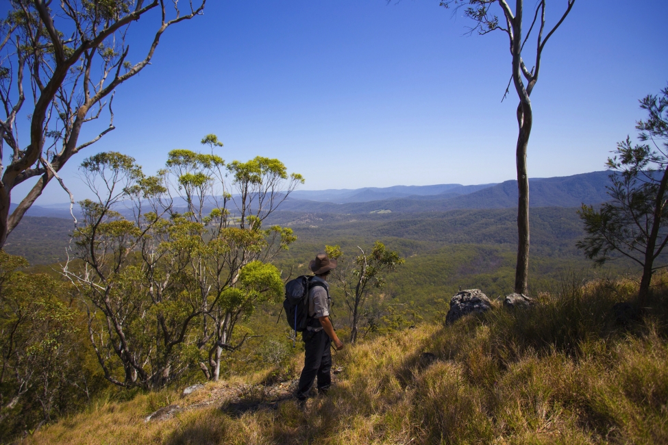 Hiker on the Scenic Rim Trail