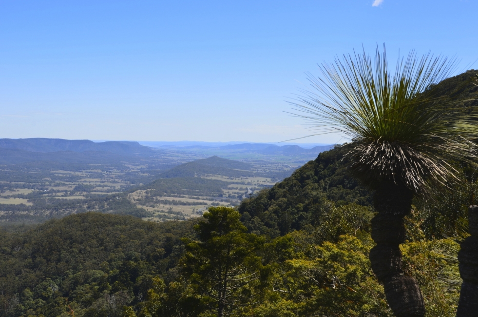 Panorama on the Scenic Rim Trail