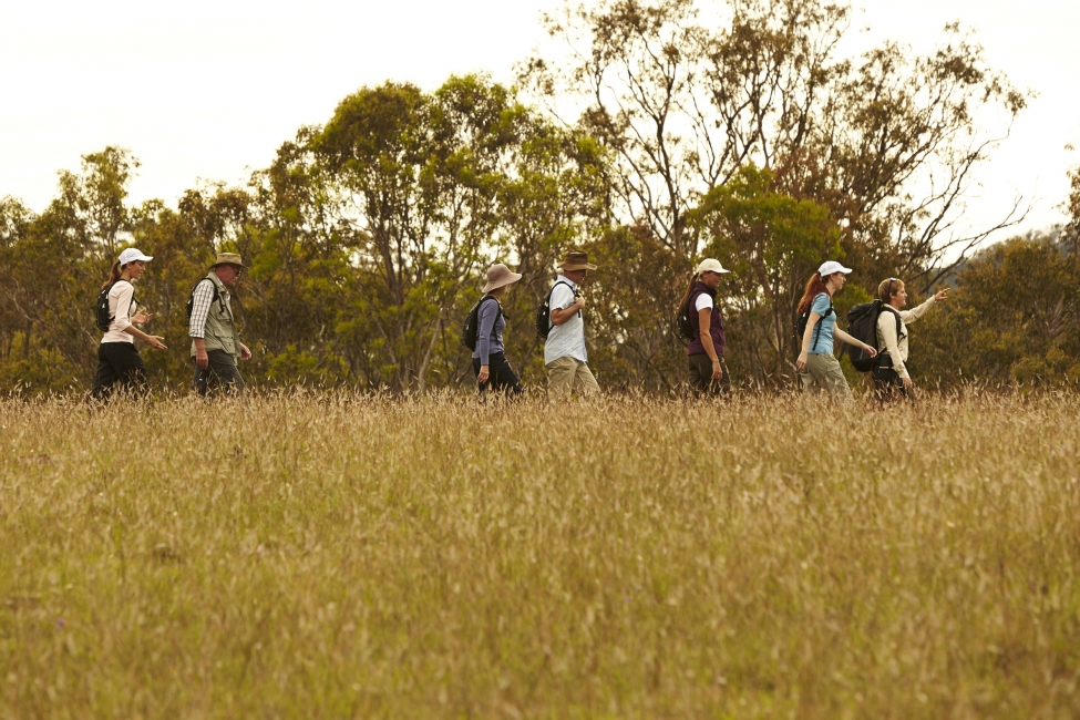 Group of hikers on the Scenic Rim Trail
