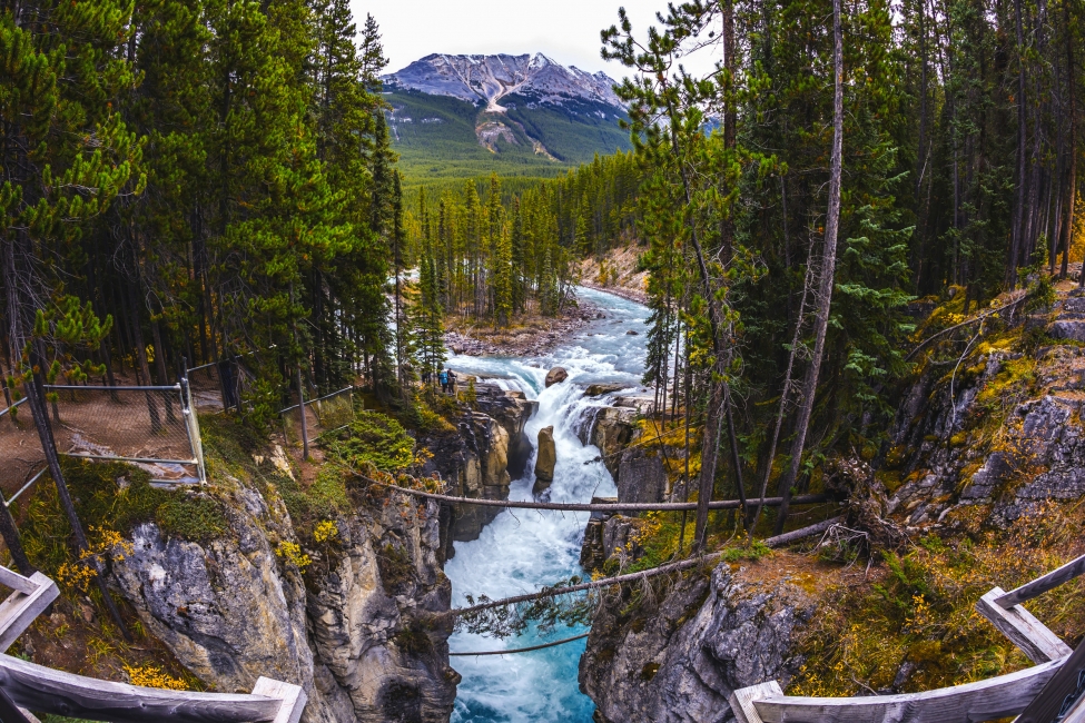 Kleine Insel im Fluss, Jasper-Nationalpark