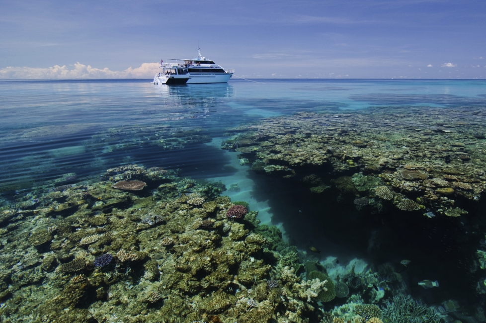 Schiff von Pro Dive vor dem Korallenriff, Great Barrier Reef
