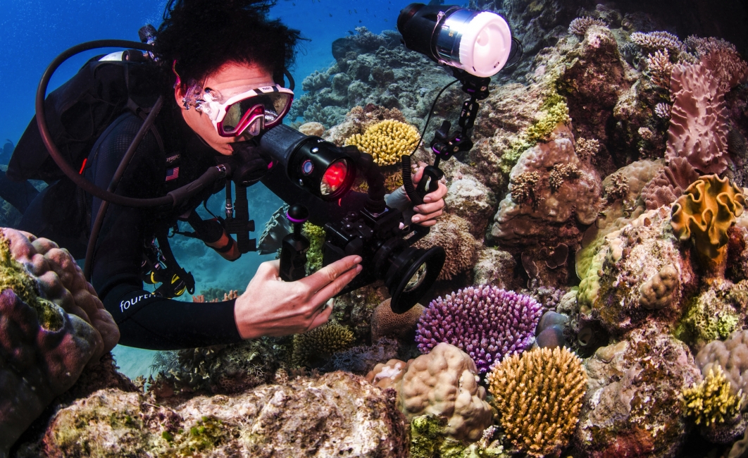 Taucher fotografiert eine Koralle am Great Barrier Reef