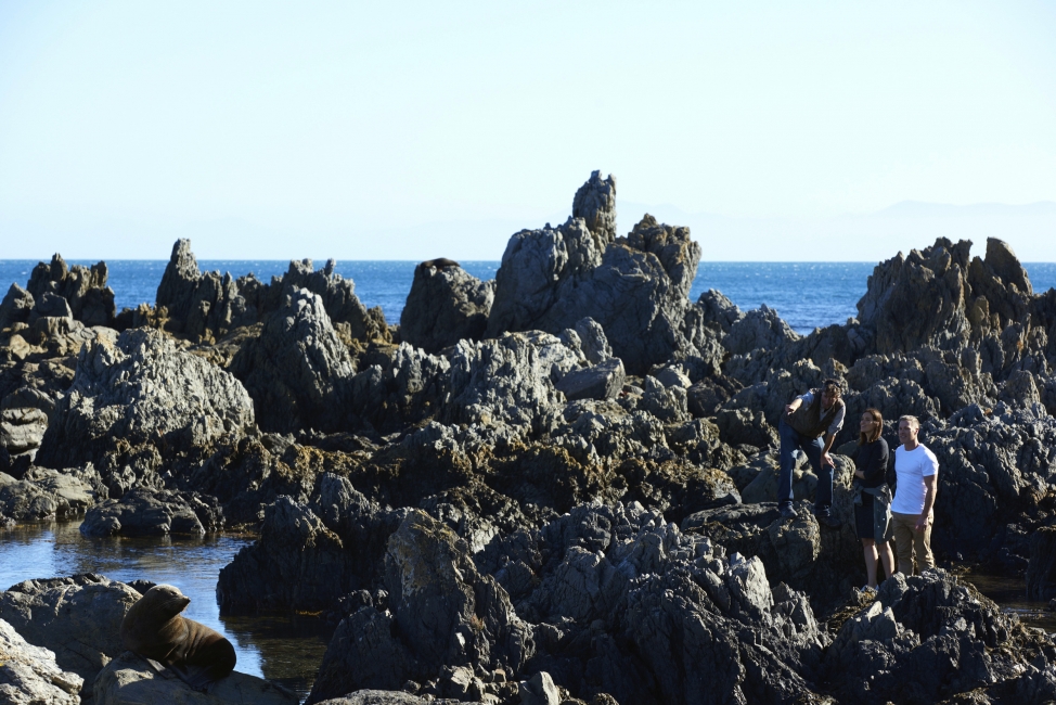 Red Rocks near Wellington