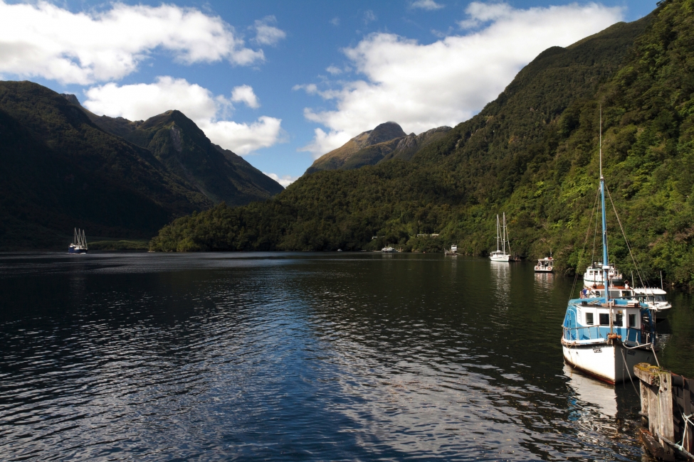 Doubtful Sound on the South Island