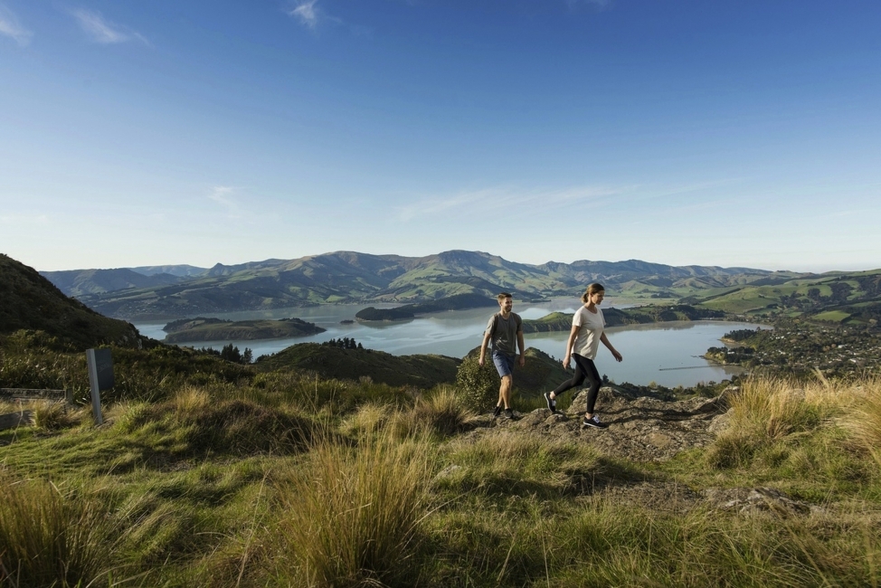 Hiker on the South Island