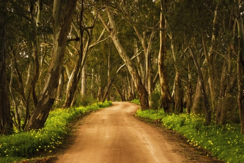 Clare Valley nell'Australia Meridionale