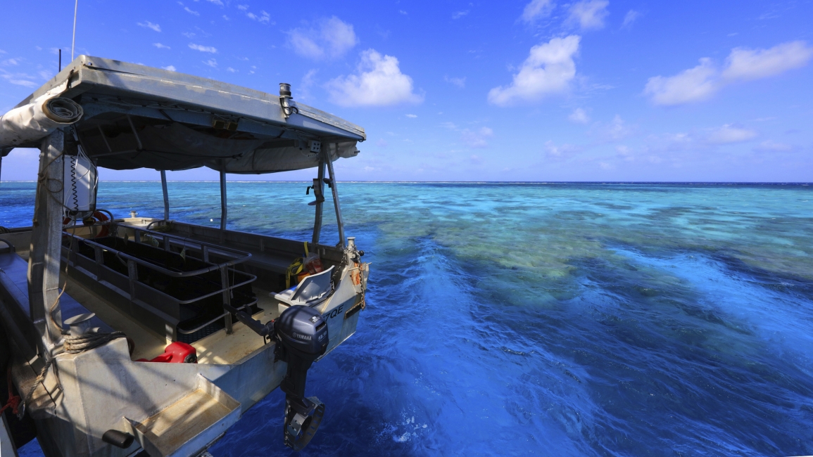 Barca dal fondo di vetro di Coral Expeditions sulla Grande barriera corallina