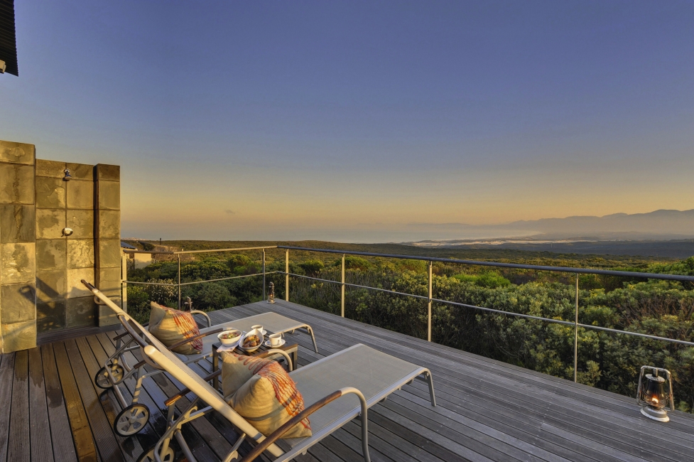 Terrasse mit Liegestühlen der Forest Lodge im Grootbos Private Nature Reserve