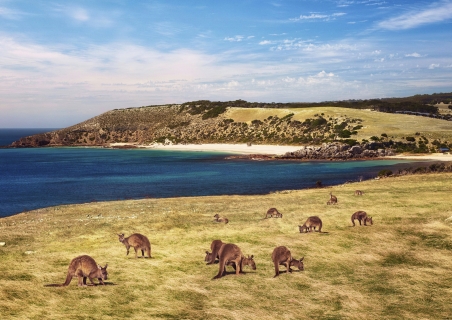 Kangaroo Island nell'Australia Meridionale